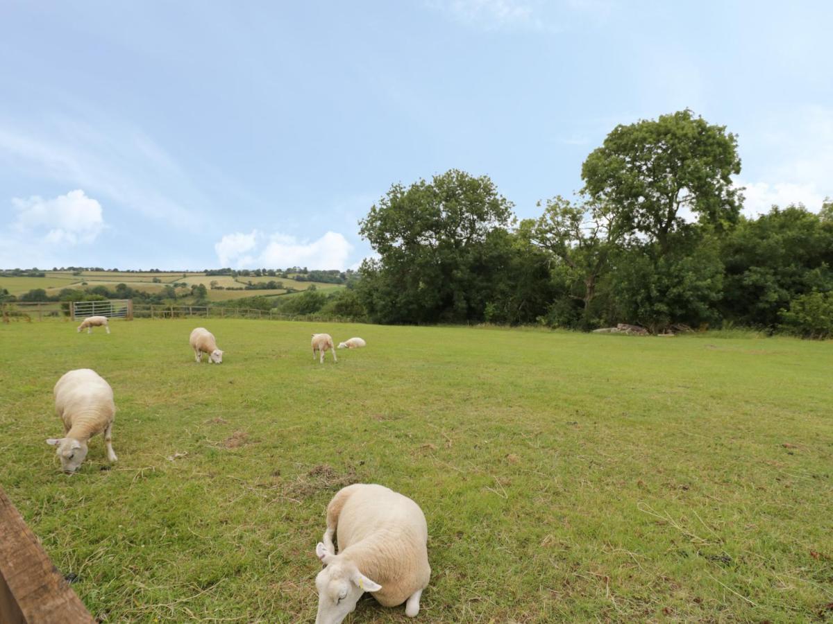 Holmer Farm Leominster Dış mekan fotoğraf
